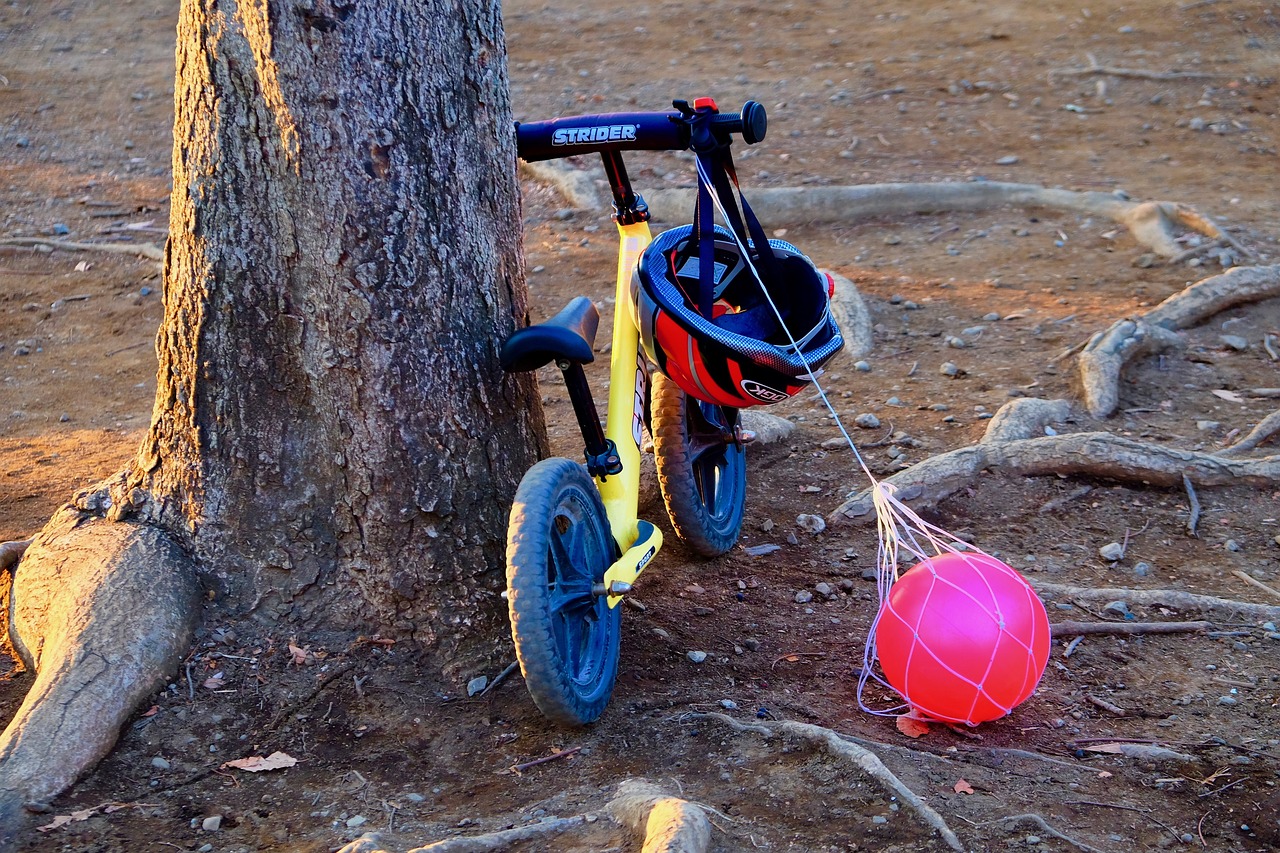 收養(yǎng)法修改最新動態(tài)，重塑收養(yǎng)制度，保障兒童權(quán)益