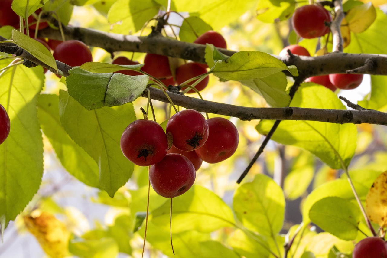 濟(jì)南圣井新城最新動態(tài)，城市新篇章正在譜寫