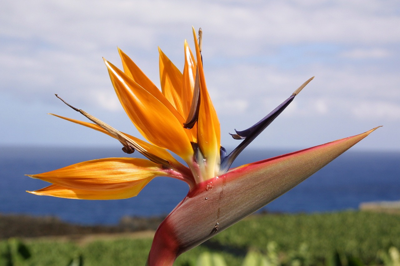 滬強(qiáng)巴黎春天最新動態(tài)，先鋒力量重塑城市魅力