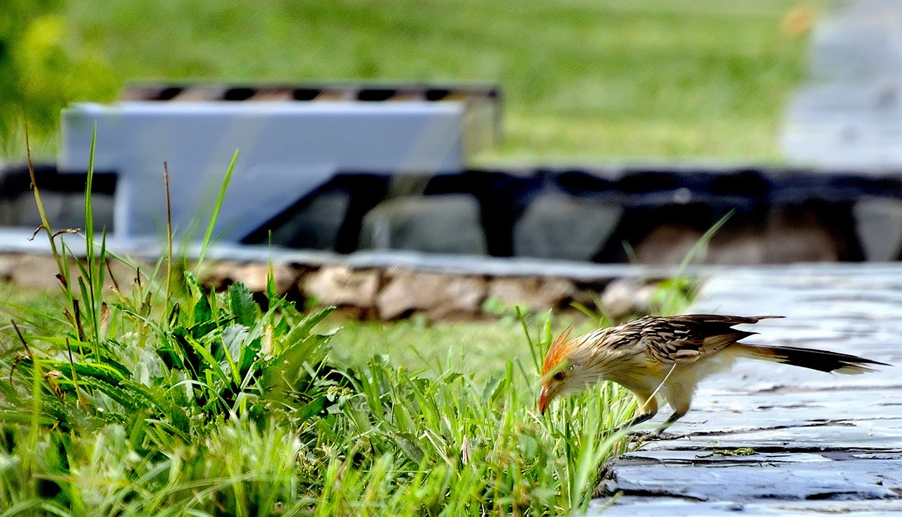蚌埠匯金廣場最新動態(tài)更新，最新消息一覽