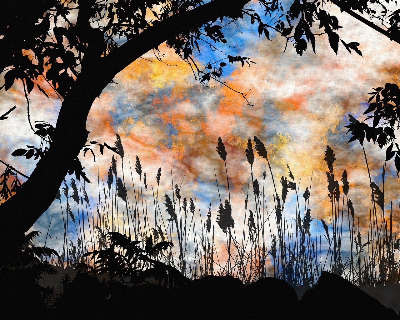 探尋靈魂的迷離之旅，魂不守舍沈秋最新章節(jié)