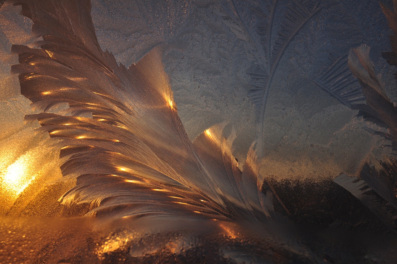 白夜寒與葉曉曉，命運(yùn)交織與情感升華的最新章節(jié)