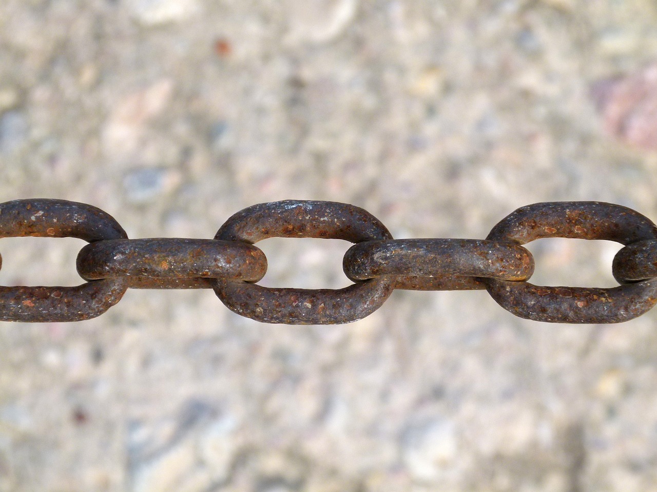 李仕軍在旺蒼的最新動(dòng)態(tài)，推動(dòng)地方發(fā)展，展現(xiàn)新面貌