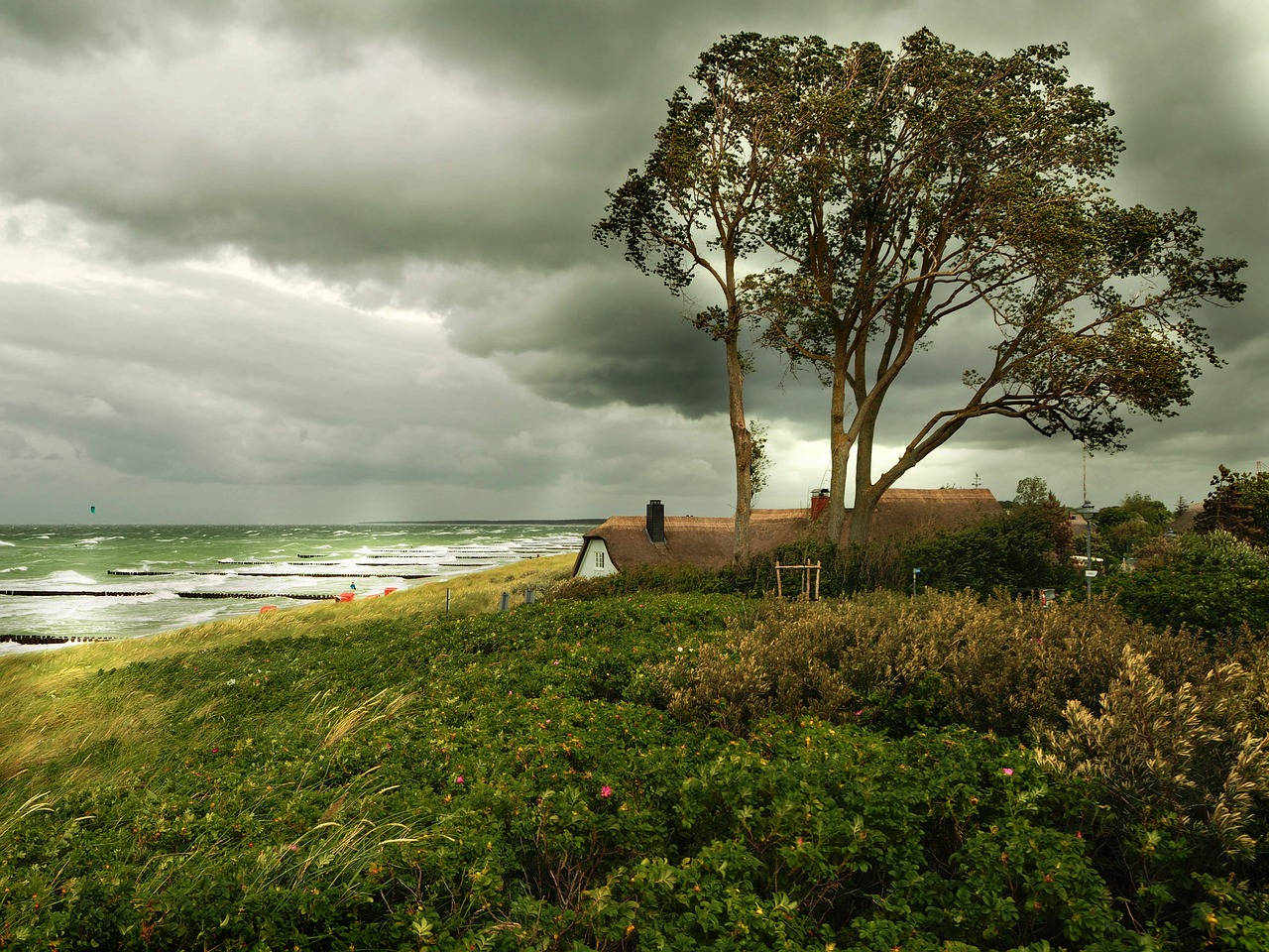 山東海洋天氣預(yù)報(bào)更新及分析，最新海洋氣象動(dòng)態(tài)揭秘