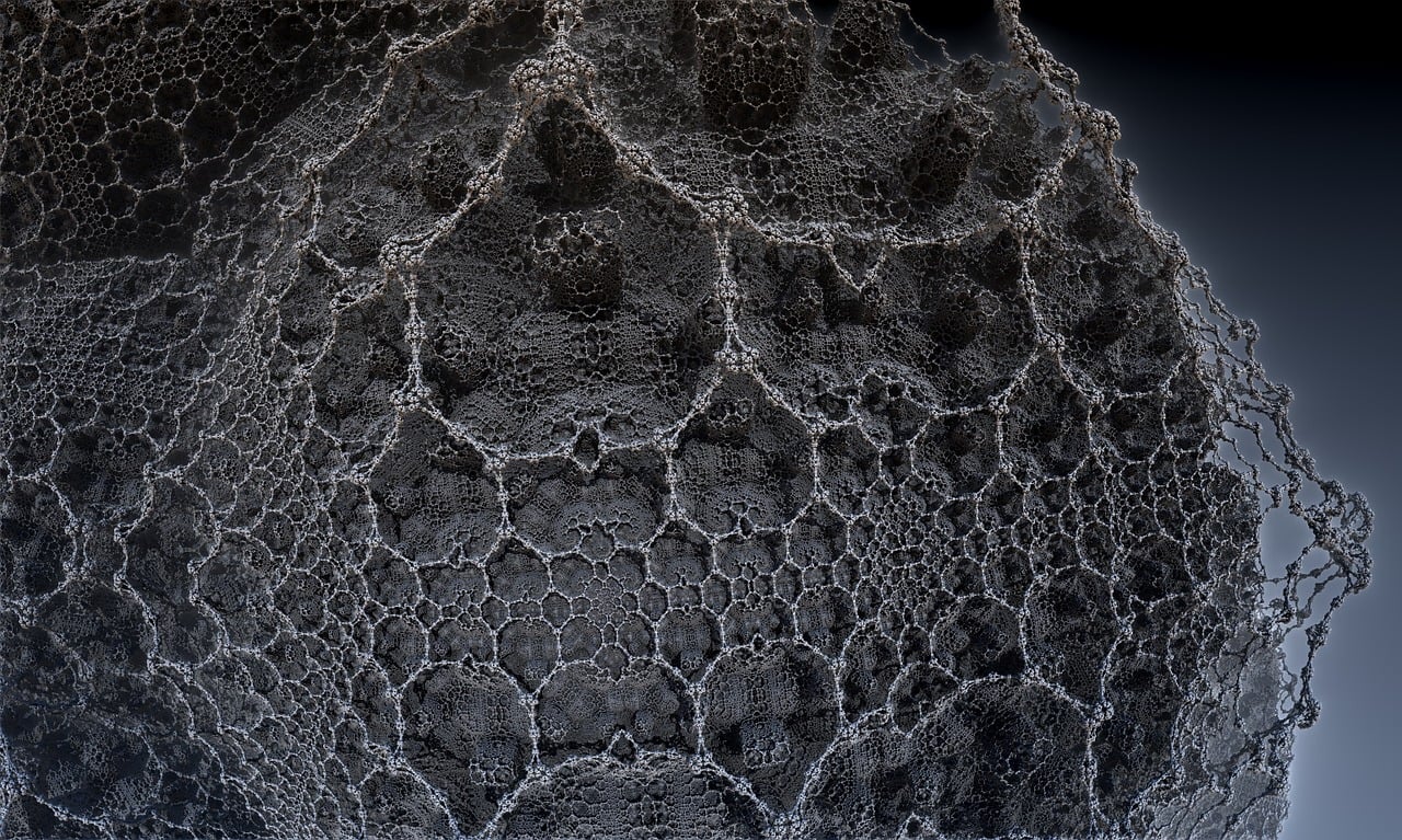 湛江李昌梧最新動態(tài)，傳奇人物的嶄新篇章