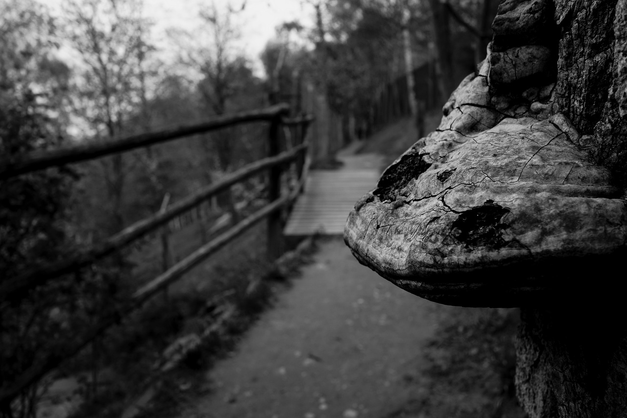 九江瞰江郡最新動(dòng)態(tài)更新，九江瞰江郡最新?tīng)顩r速遞