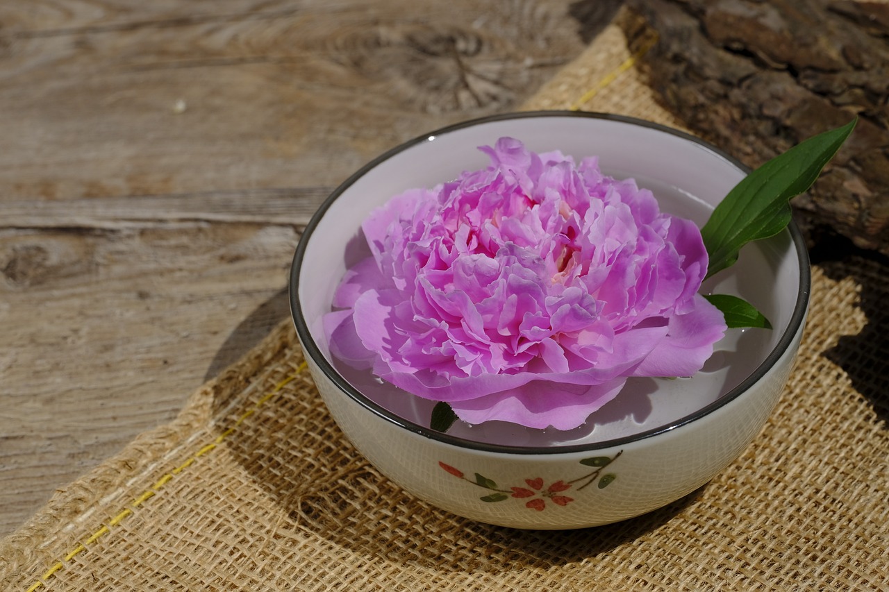 大康牧業(yè)利好消息深度解析，最新動(dòng)態(tài)帶來(lái)積極前景