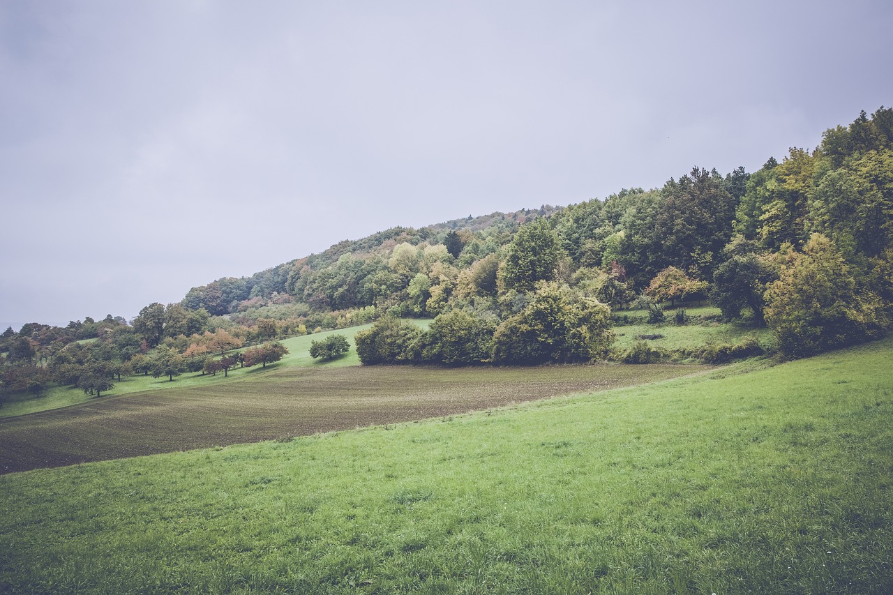 上港孫祥最新動(dòng)態(tài)及未來(lái)展望，賽場(chǎng)內(nèi)外的關(guān)注焦點(diǎn)