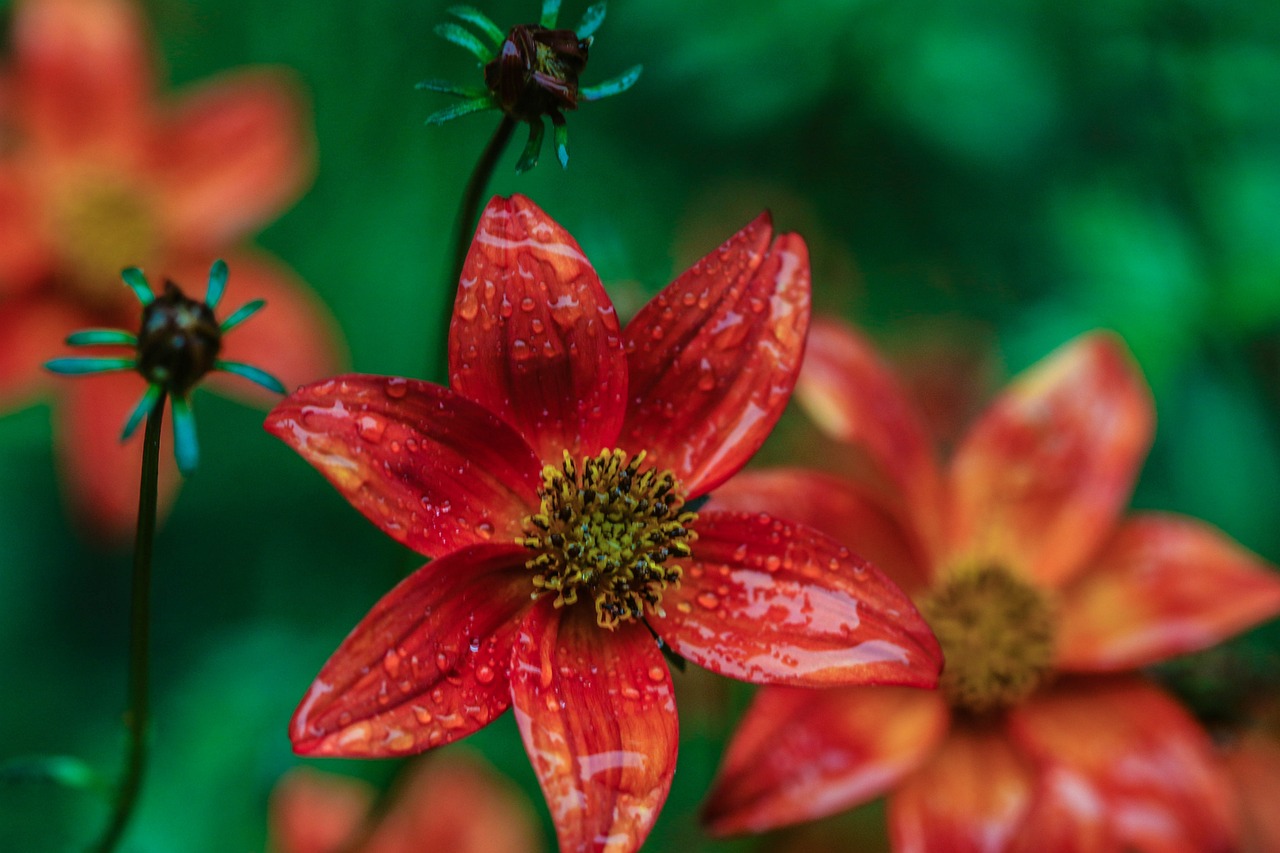 懷來(lái)萬(wàn)悅廣場(chǎng)，城市新地標(biāo)，引領(lǐng)未來(lái)生活風(fēng)尚新動(dòng)態(tài)