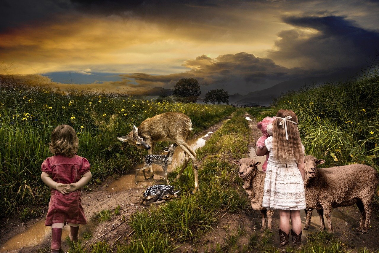 逍遙派最新章節(jié)，奇幻之旅探尋神秘世界