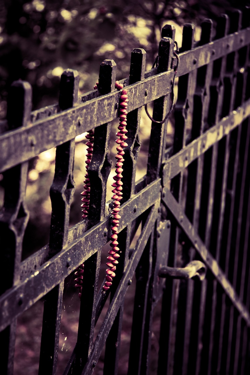 稀有金屬隕石最新探索，宇宙神秘禮物的最新消息