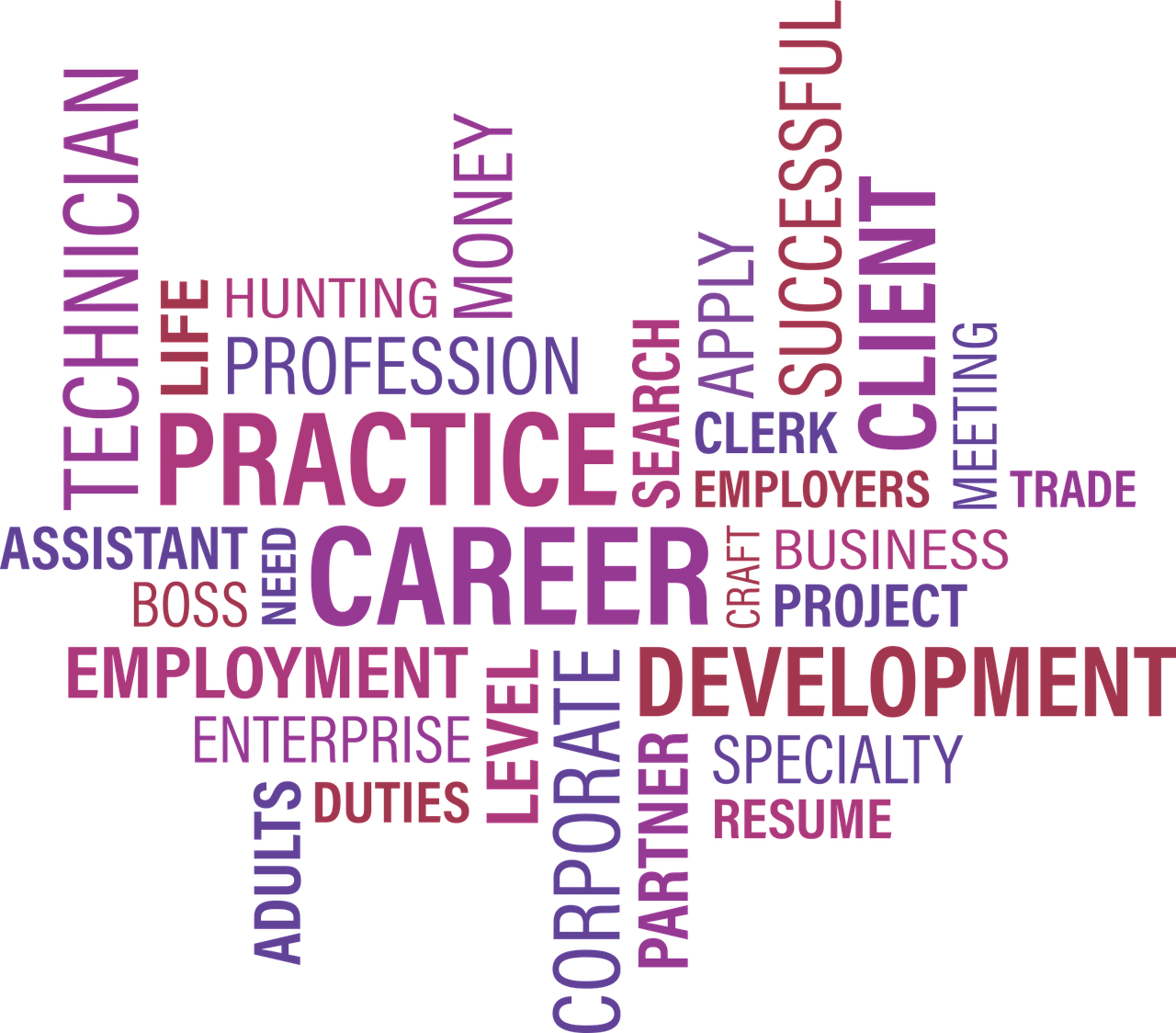 北京大興狼垡最新招工信息，影響與機(jī)會(huì)解析