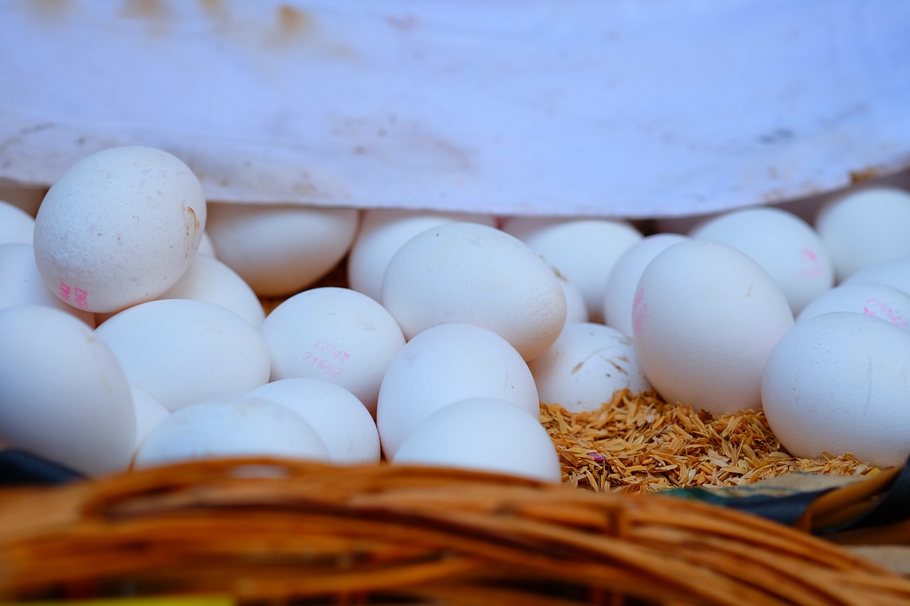 瀏陽關(guān)口未來展望，最新發(fā)展動(dòng)態(tài)及前景展望