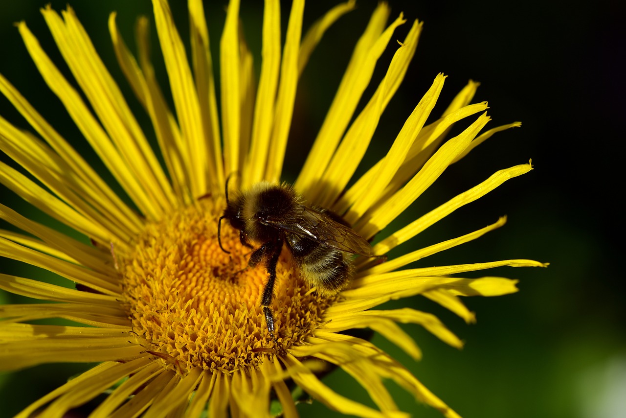 太原城市改造最新動(dòng)態(tài)，煥新顏，發(fā)展提速