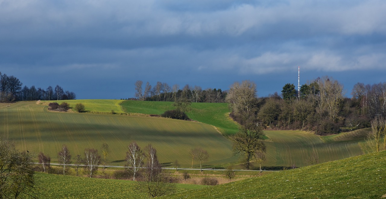 漳州陽光美地最新動態(tài)更新，最新消息匯總