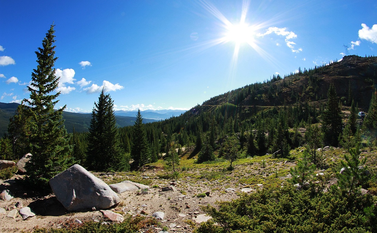 北侖大契最新招聘信息匯總與職場動(dòng)態(tài)更新