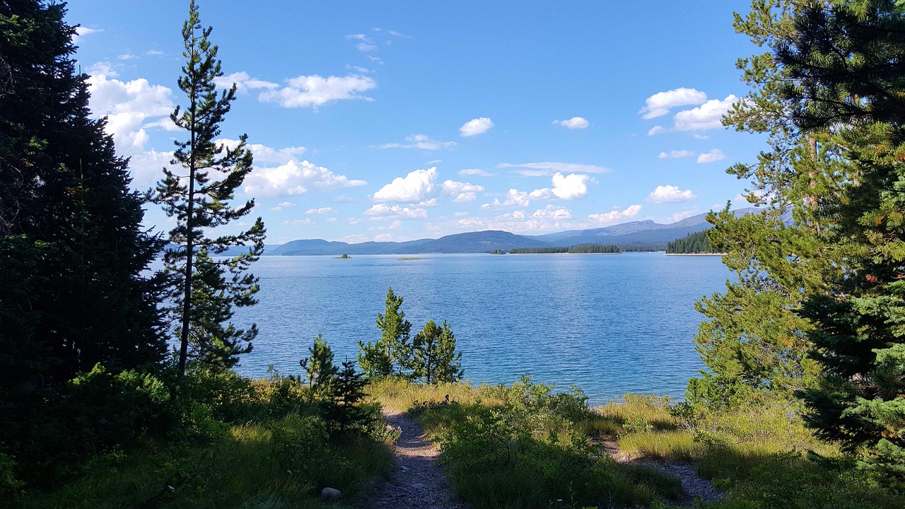 青娛樂最新地址探尋之旅，探索最新動(dòng)態(tài)與娛樂盛宴的門戶