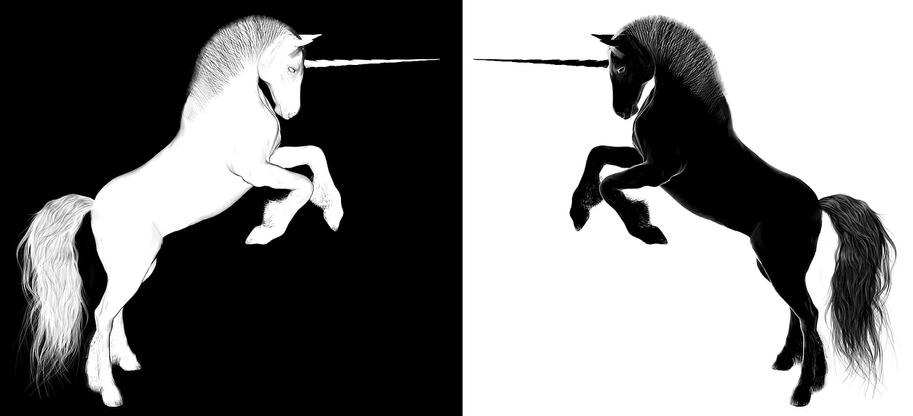 上海浦東合慶最新招聘動態(tài)，影響與趨勢分析