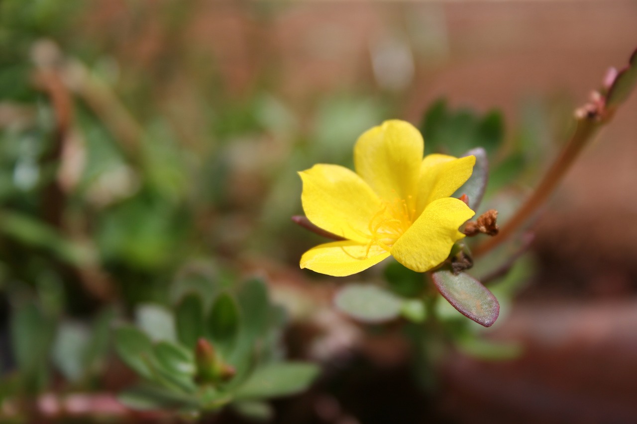 威海泊于水庫最新動(dòng)態(tài)，進(jìn)展、影響與展望