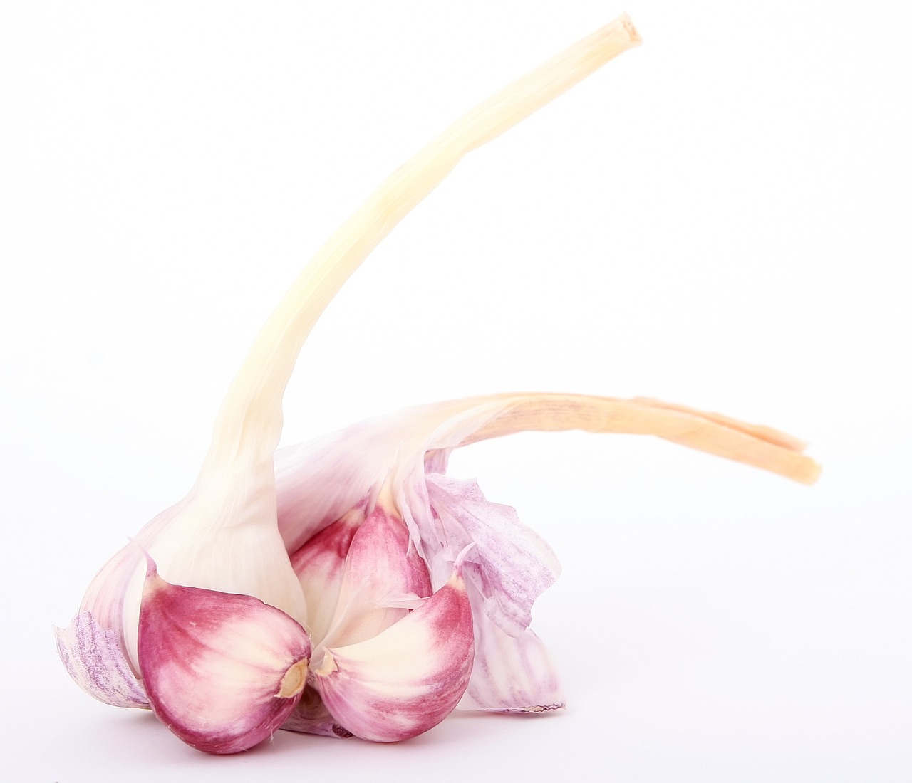 香兒最新廣場舞雙人舞，舞動生活的優(yōu)美旋律