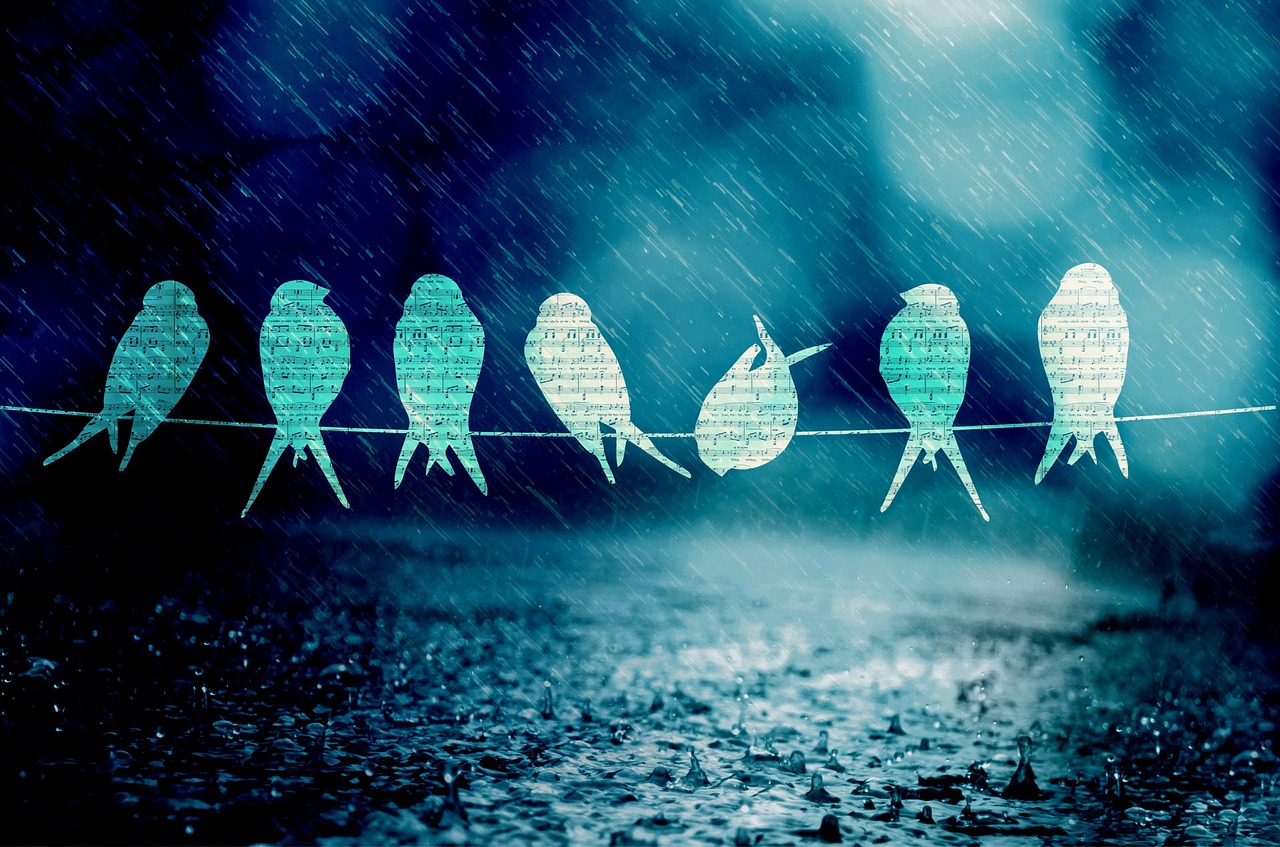 新鄉(xiāng)李寶琴，音樂中的勵志人生最新消息