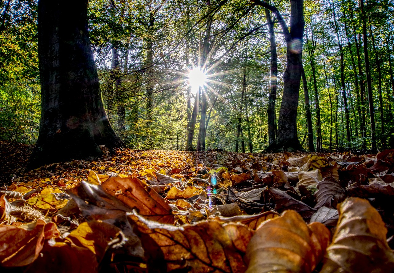 古劍奇譚三最新動態(tài)揭秘，新內(nèi)容、玩法與體驗全解析