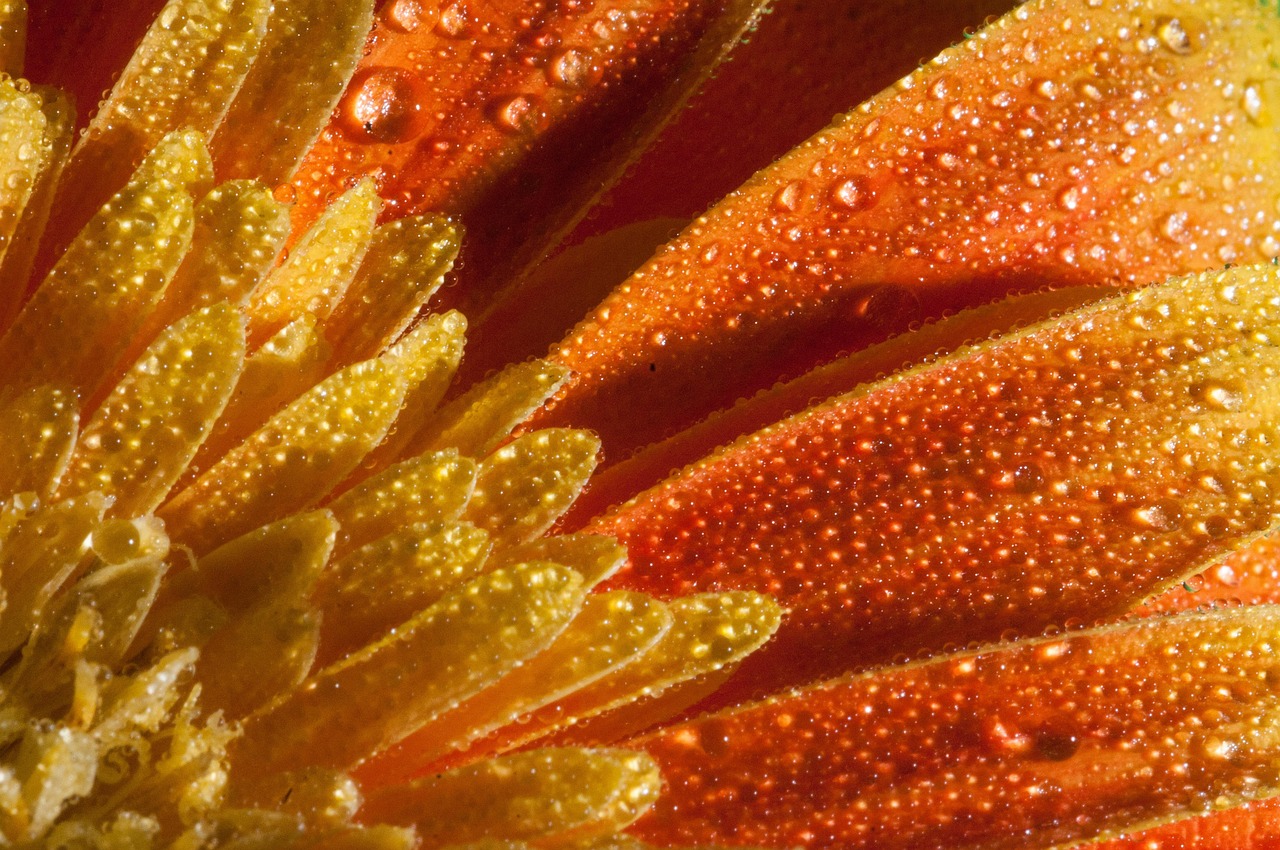 鄭州東岸尚景最新動(dòng)態(tài)，城市新篇章的璀璨明珠