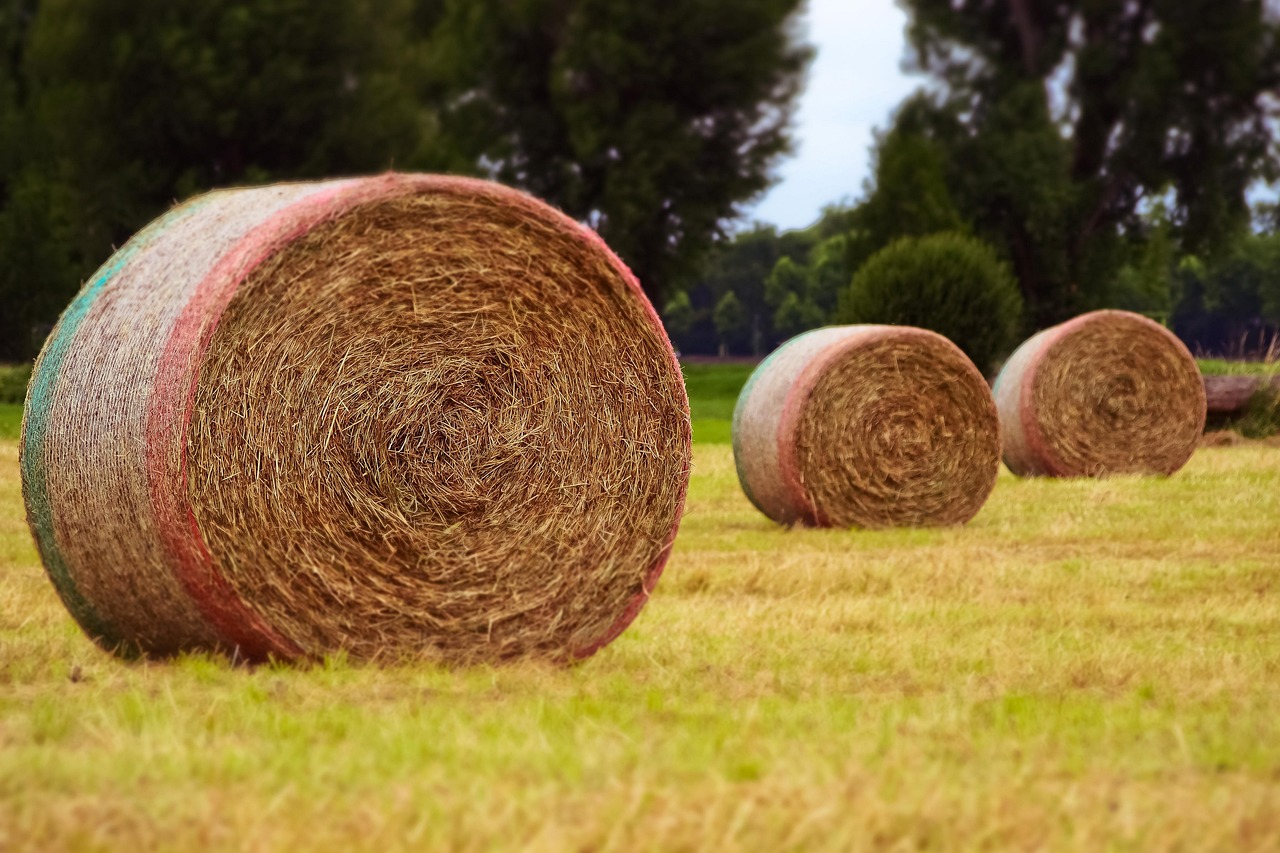 威寧貼吧網(wǎng)最新消息綜述，一網(wǎng)打盡最新動態(tài)