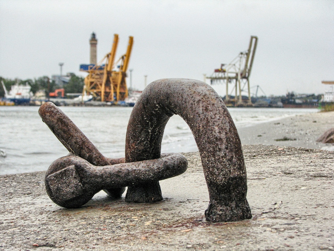 大連外經(jīng)貿(mào)最新消息概覽，最新動(dòng)態(tài)與發(fā)展分析