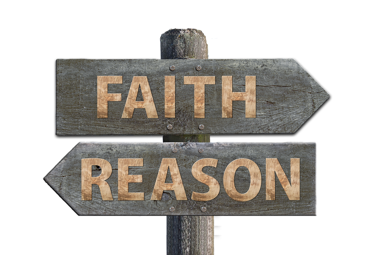 華圖教育股票最新動態(tài)，市場走勢、前景展望與最新消息