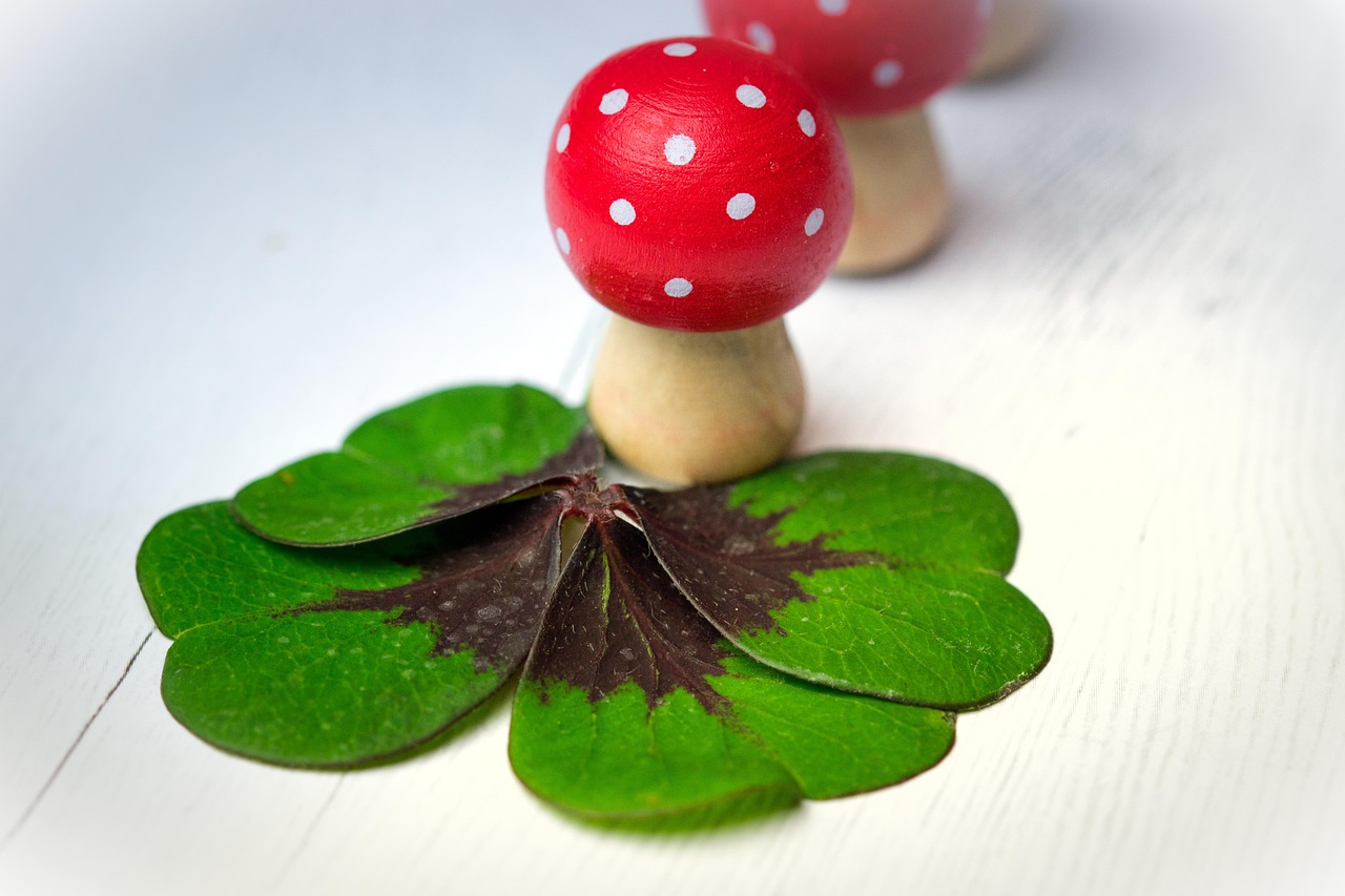 華清御園最新動態(tài)，展現(xiàn)獨特魅力與未來發(fā)展藍(lán)圖揭秘