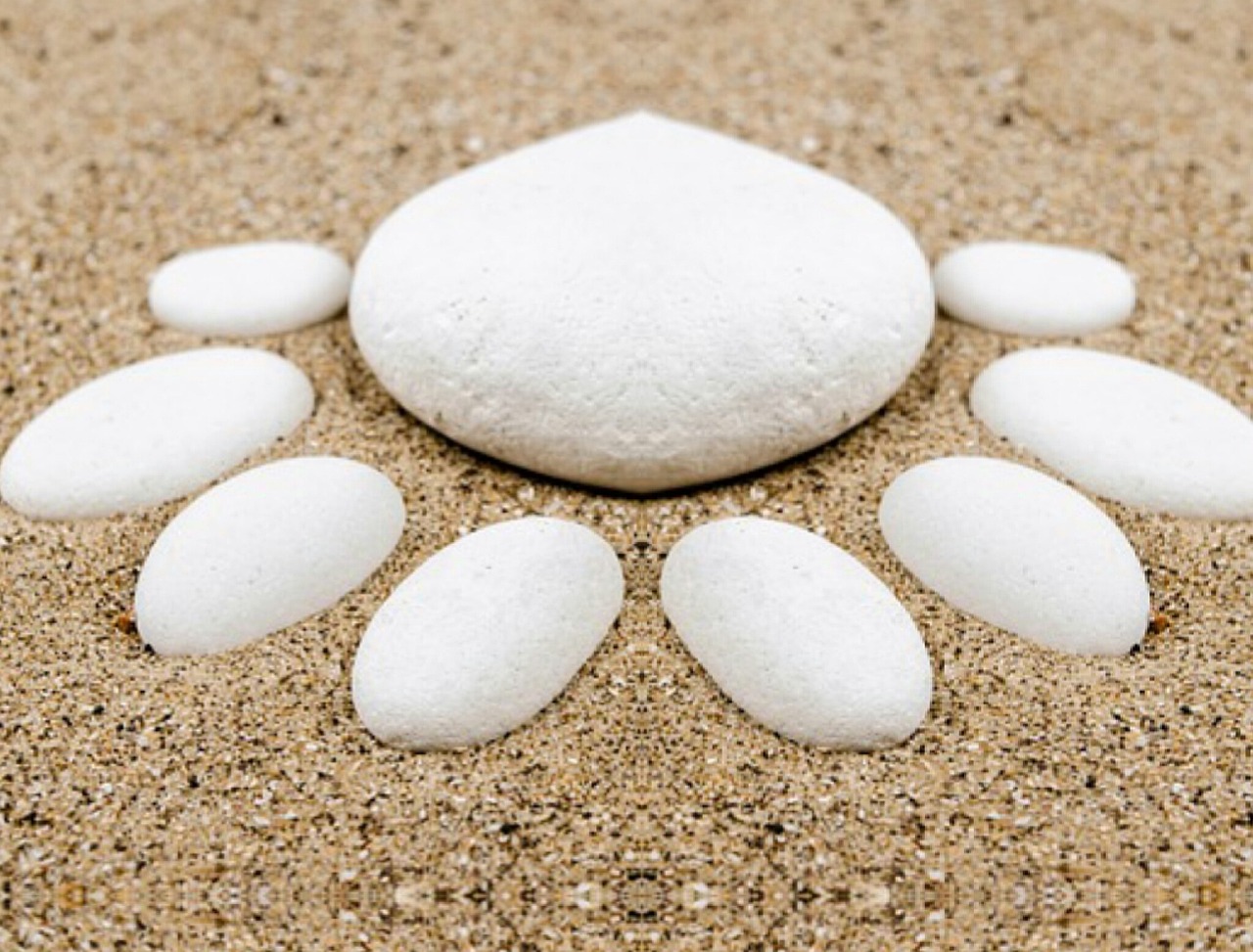 本兮官網(wǎng)最新動態(tài)，音樂之旅全新啟程