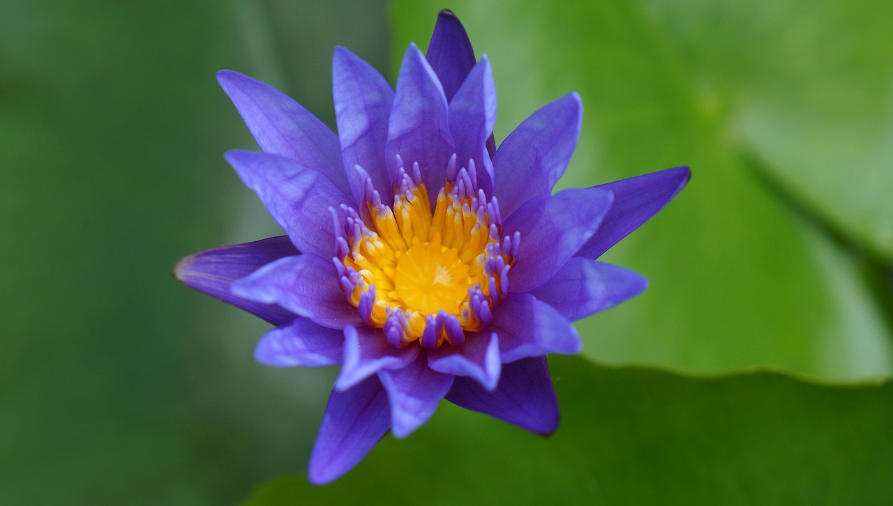 雙陽區(qū)火車站邁向現(xiàn)代化，提升服務(wù)質(zhì)量，最新動態(tài)報告