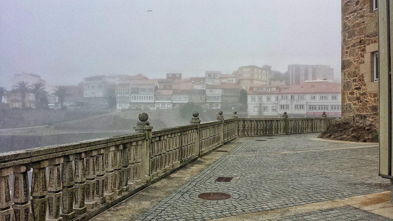 三亞星域最新房價(jià)動態(tài)與市場趨勢深度解析