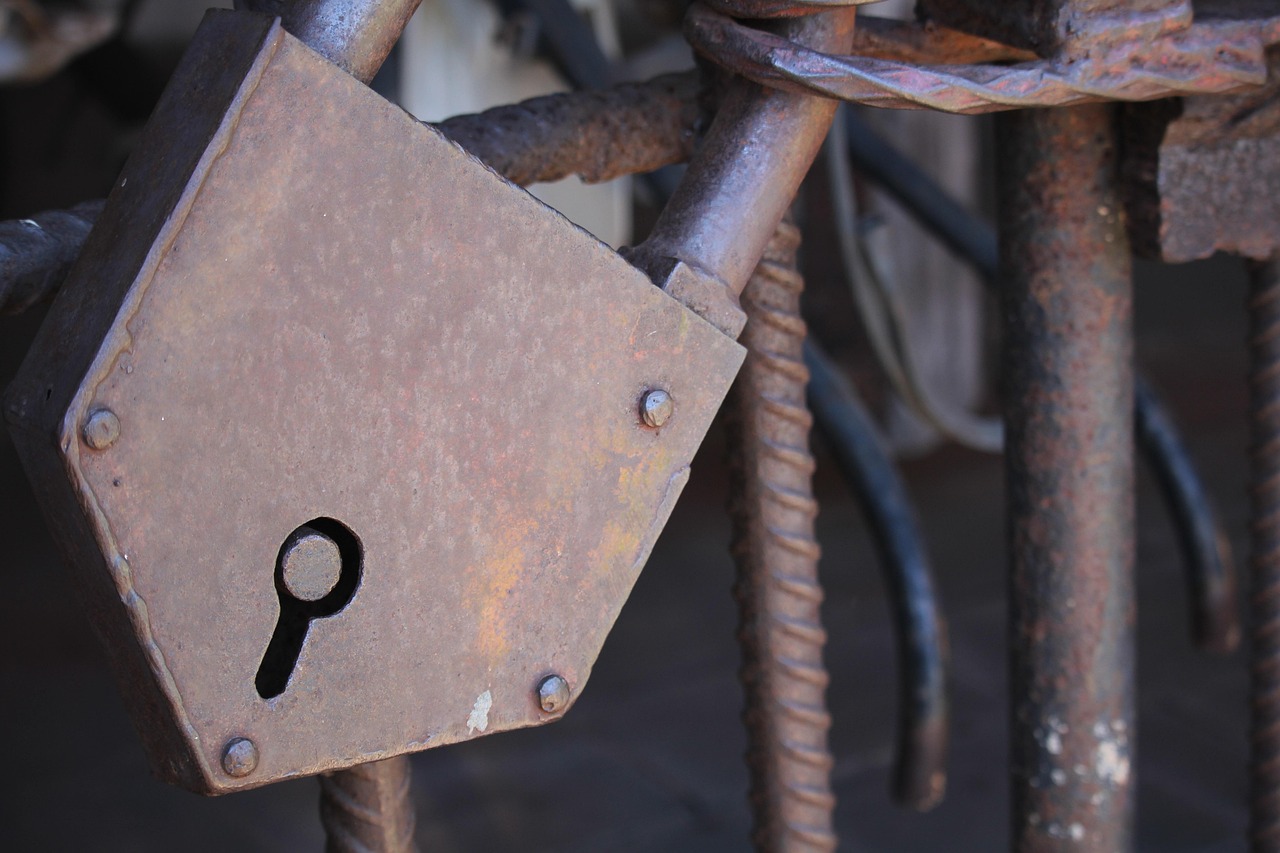 廣東省黨代會(huì)最新動(dòng)態(tài)，新時(shí)代的新征程啟航