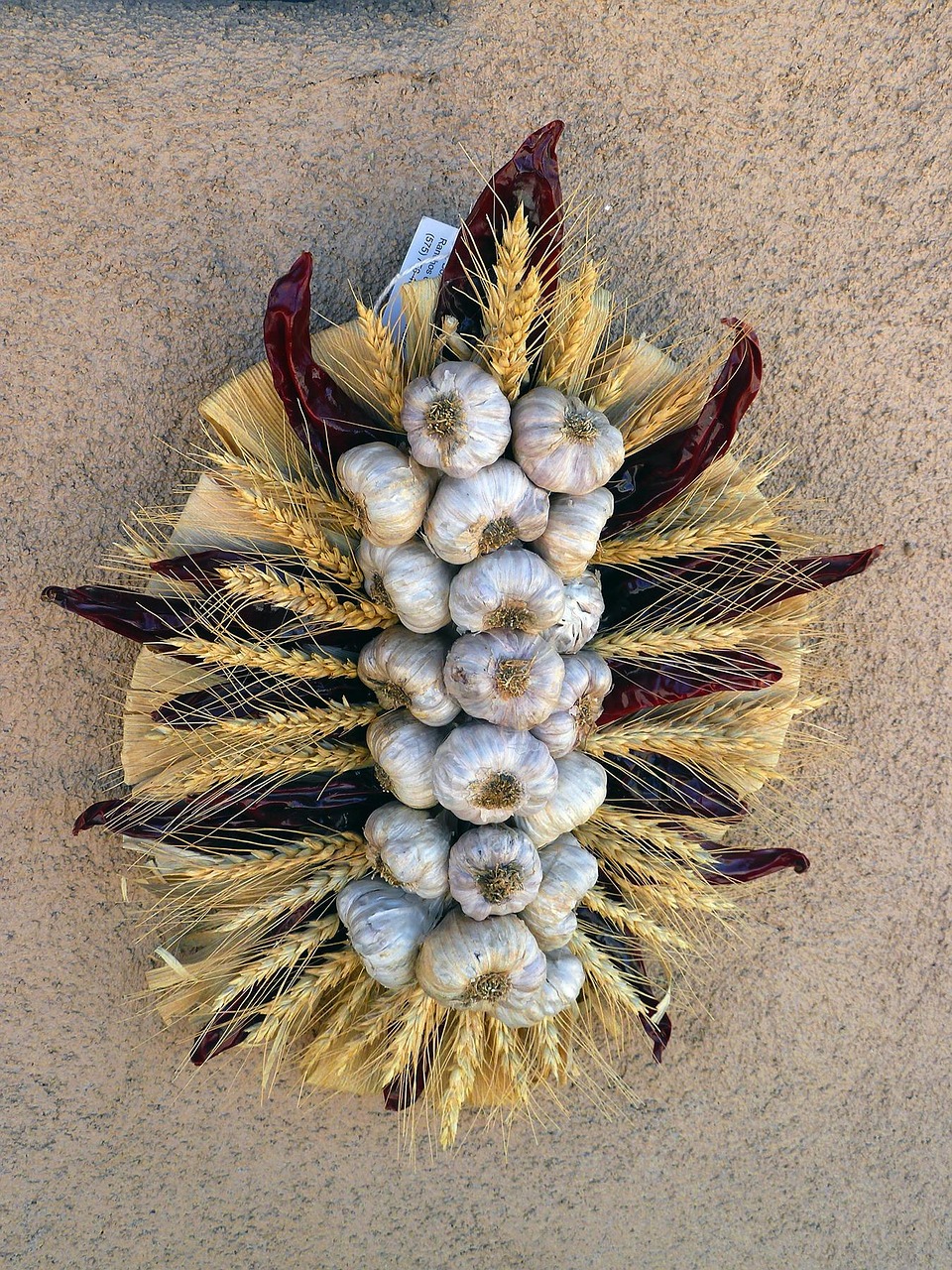 京北生態(tài)新城最新動(dòng)態(tài)，綠色發(fā)展璀璨明珠的崛起