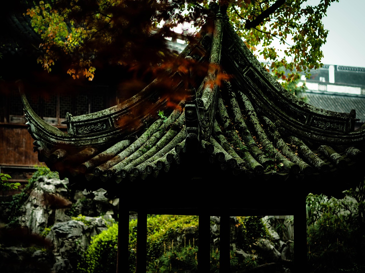 中國(guó)女排隊(duì)蓄勢(shì)待發(fā)，展現(xiàn)新篇章，最新消息與動(dòng)態(tài)速遞