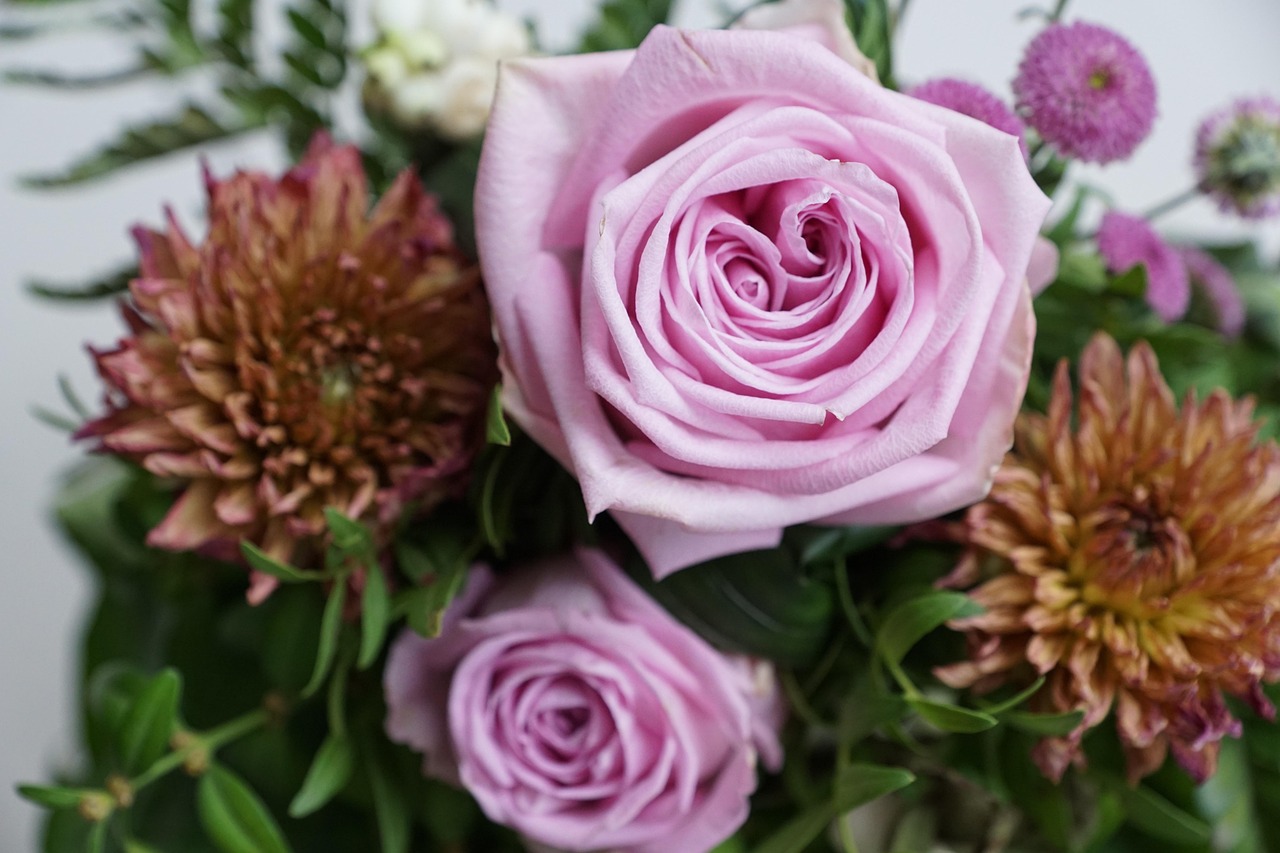 金谷美麗城最新動(dòng)態(tài)，揭開未來繁華序幕