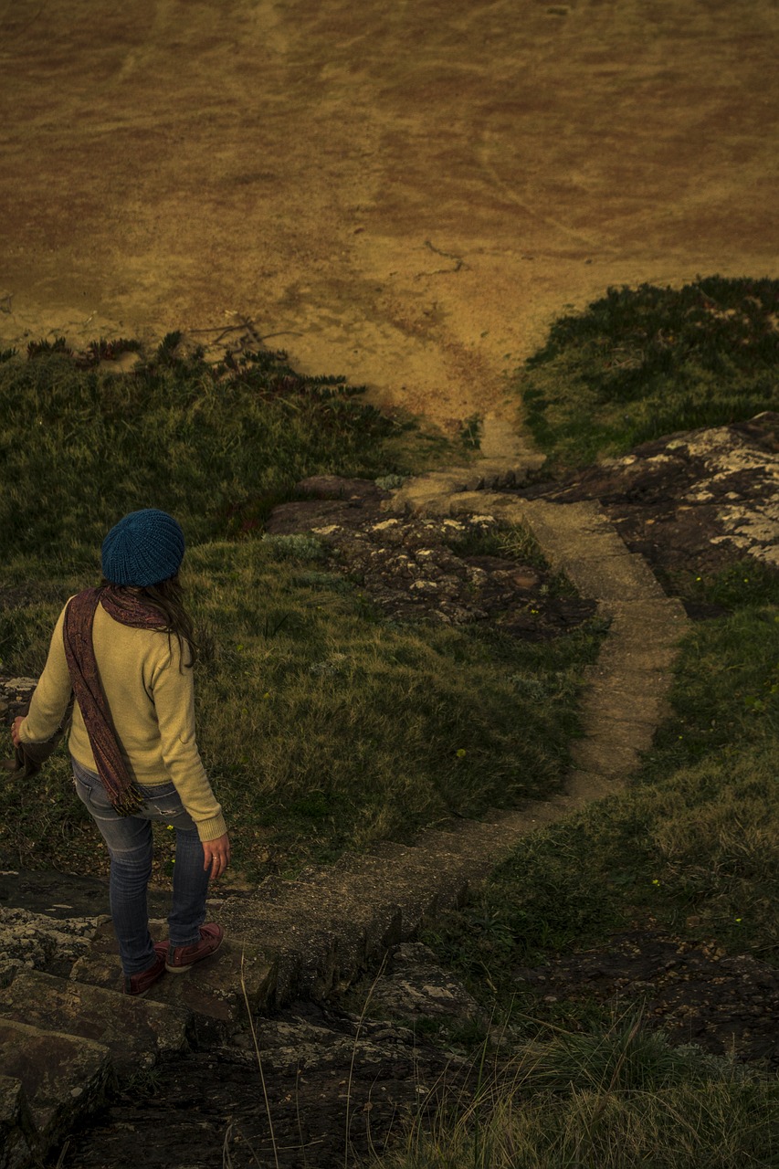 眉山東坡區(qū)最新招聘動(dòng)態(tài)與就業(yè)市場(chǎng)分析概覽