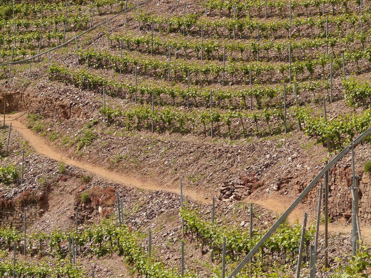 紅河谷論壇最新地址，全新探索與交流平臺的開啟