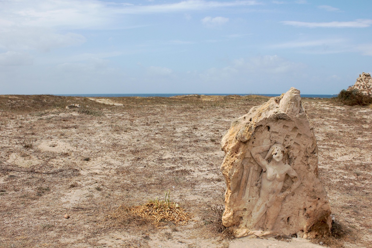 濱海旅游區(qū)新動態(tài)，世界級旅游目的地打造最新消息