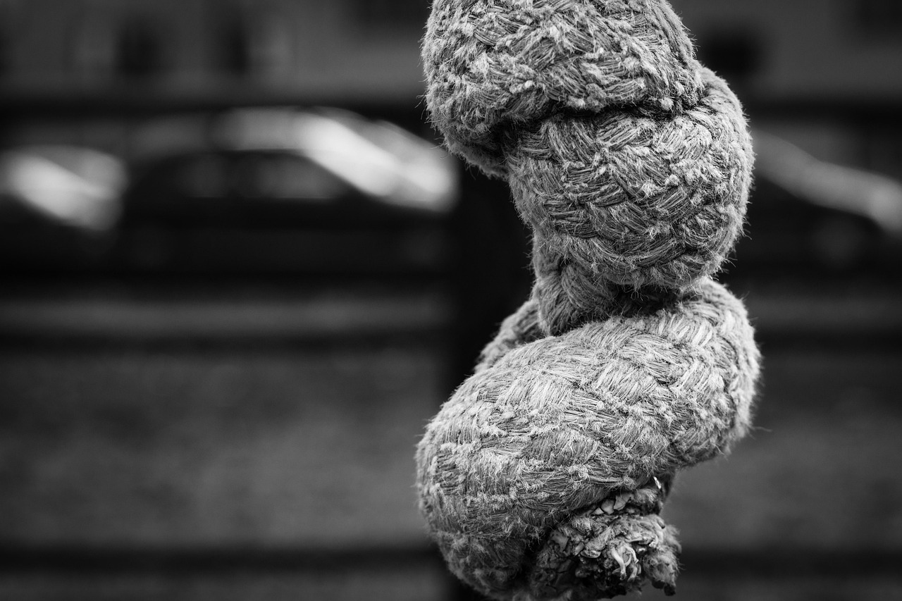 佳能RF鏡頭2023最新動態(tài)，引領(lǐng)攝影技術(shù)革新