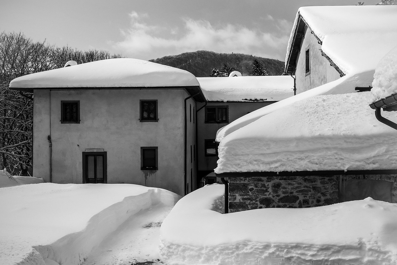 三林拆違動(dòng)態(tài)更新，最新消息匯總