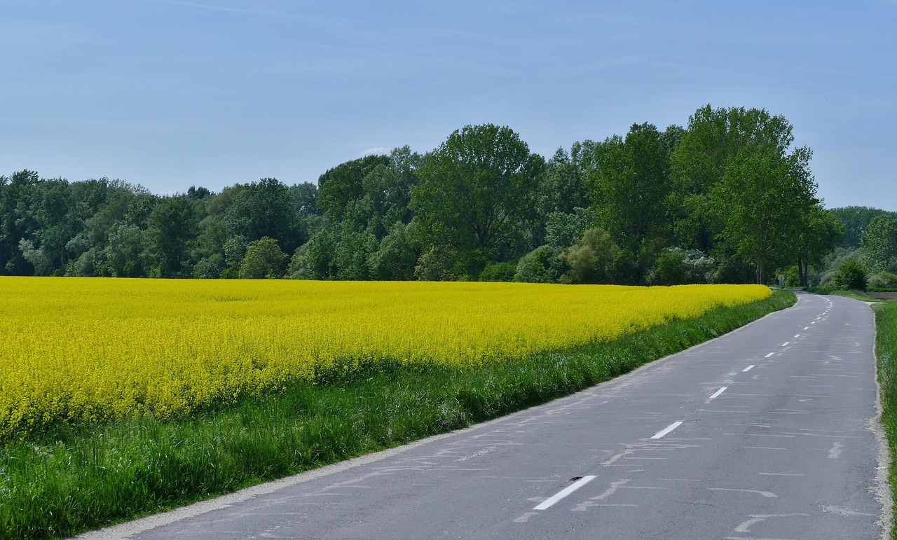 蕪黃旌德段建設(shè)進(jìn)展及未來(lái)展望，最新消息揭秘