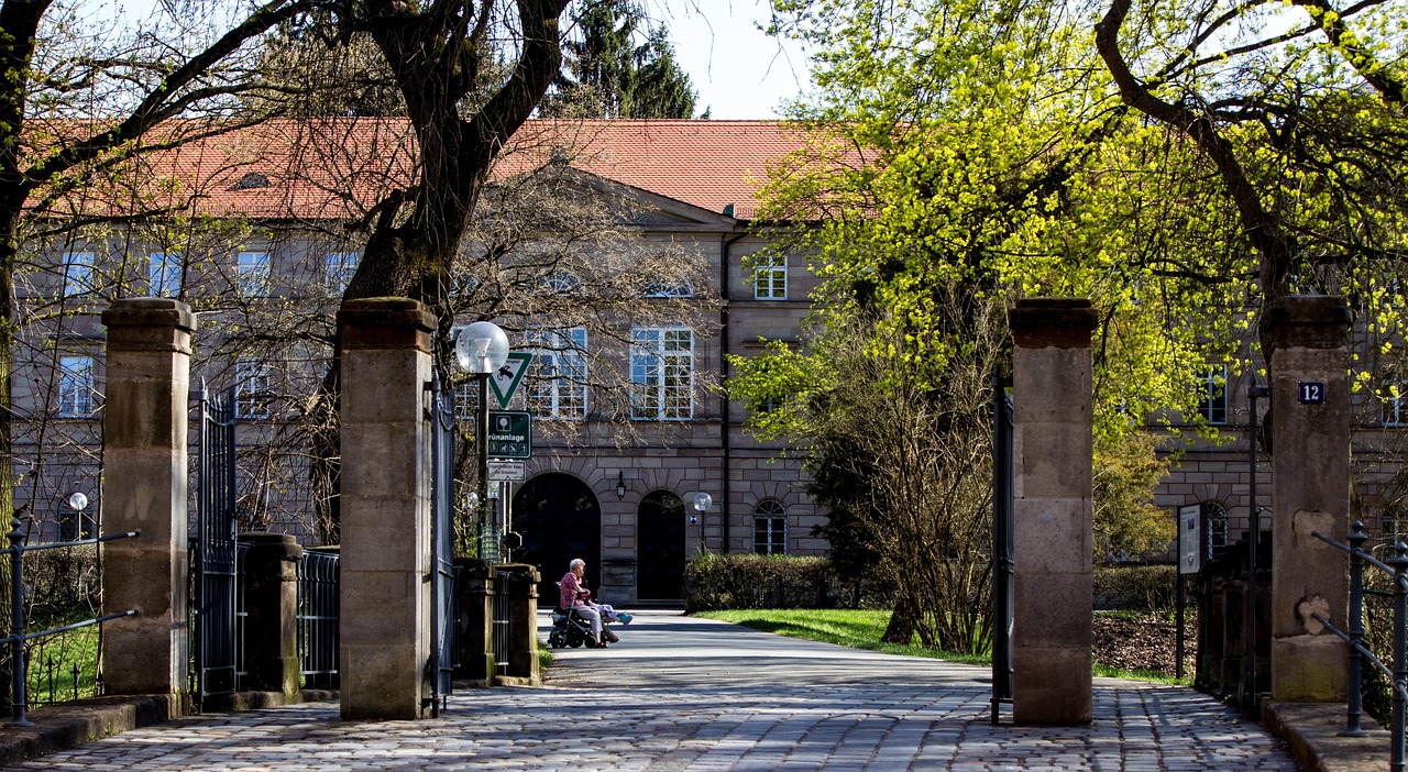 洛陽王城大道最新動態(tài)，城市發(fā)展的脈搏與未來展望