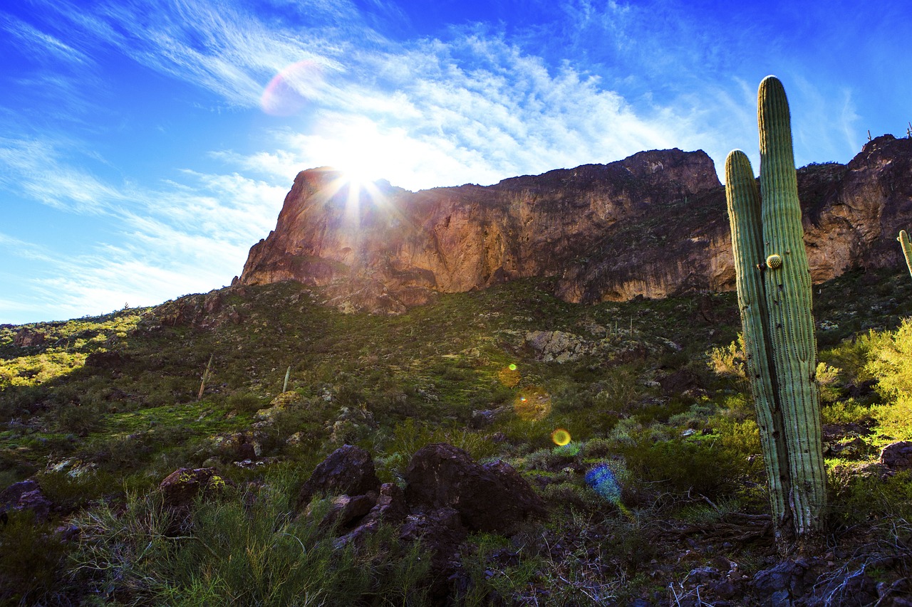 蘭州富士康最新動(dòng)態(tài)，發(fā)展、影響與未來展望全面解讀