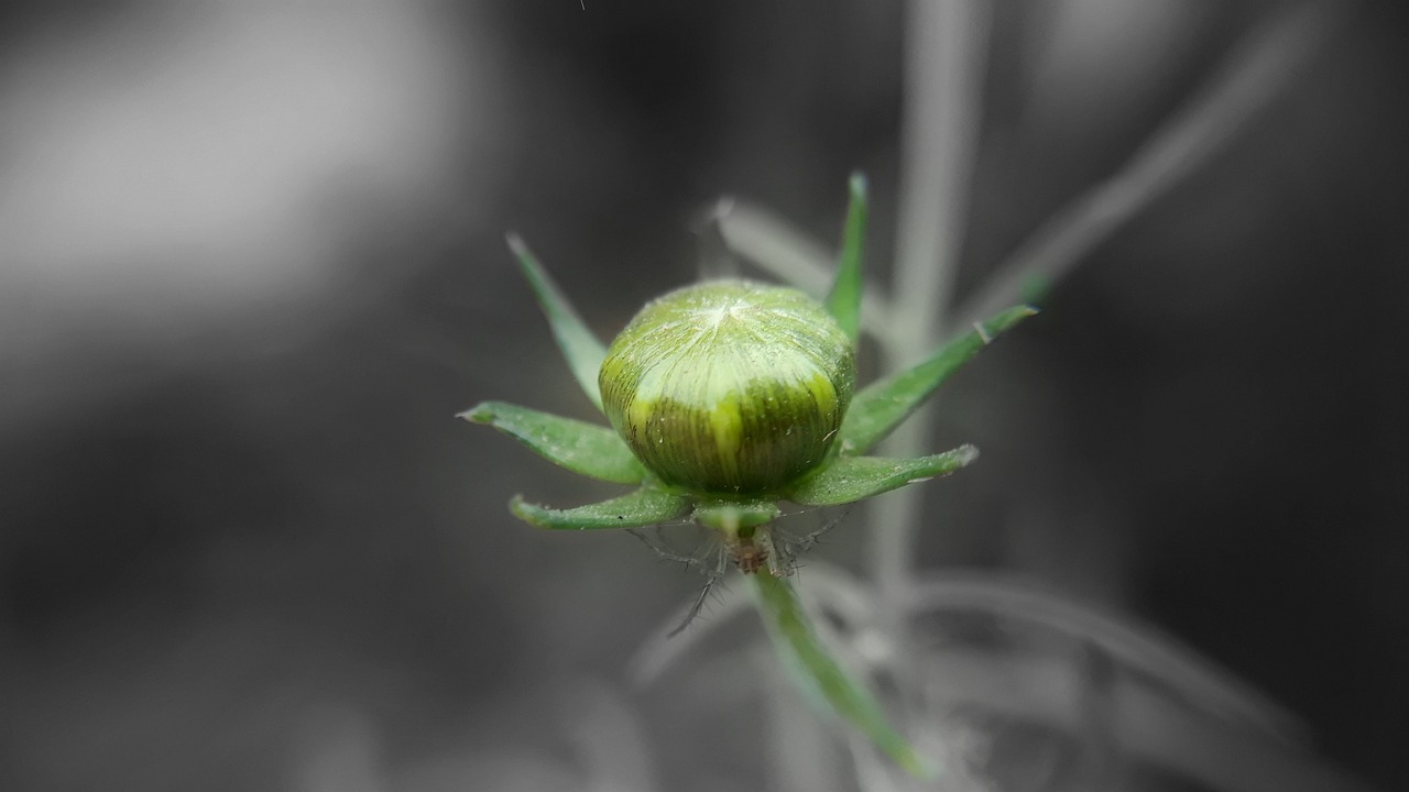 托普軟件最新消息深度解析，公司動態(tài)與技術(shù)進展一網(wǎng)打盡