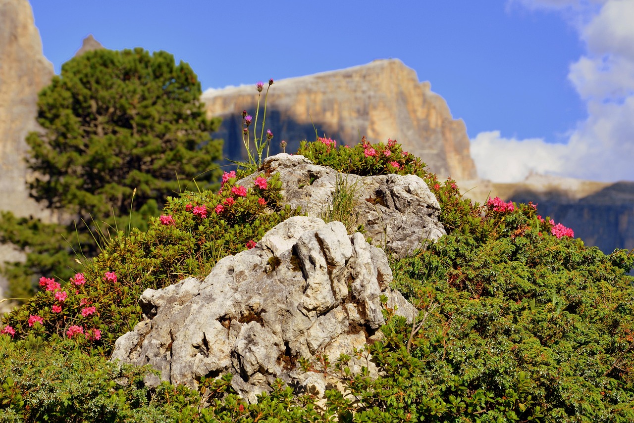 哈市道外區(qū)最新招聘動(dòng)態(tài)，崗位發(fā)布與影響分析
