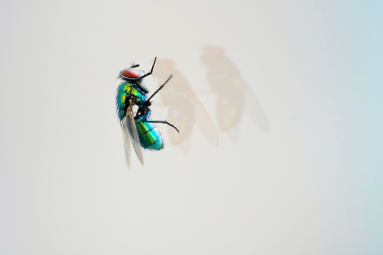 天天炫斗最新版2015年，游戲新體驗(yàn)與特色解析