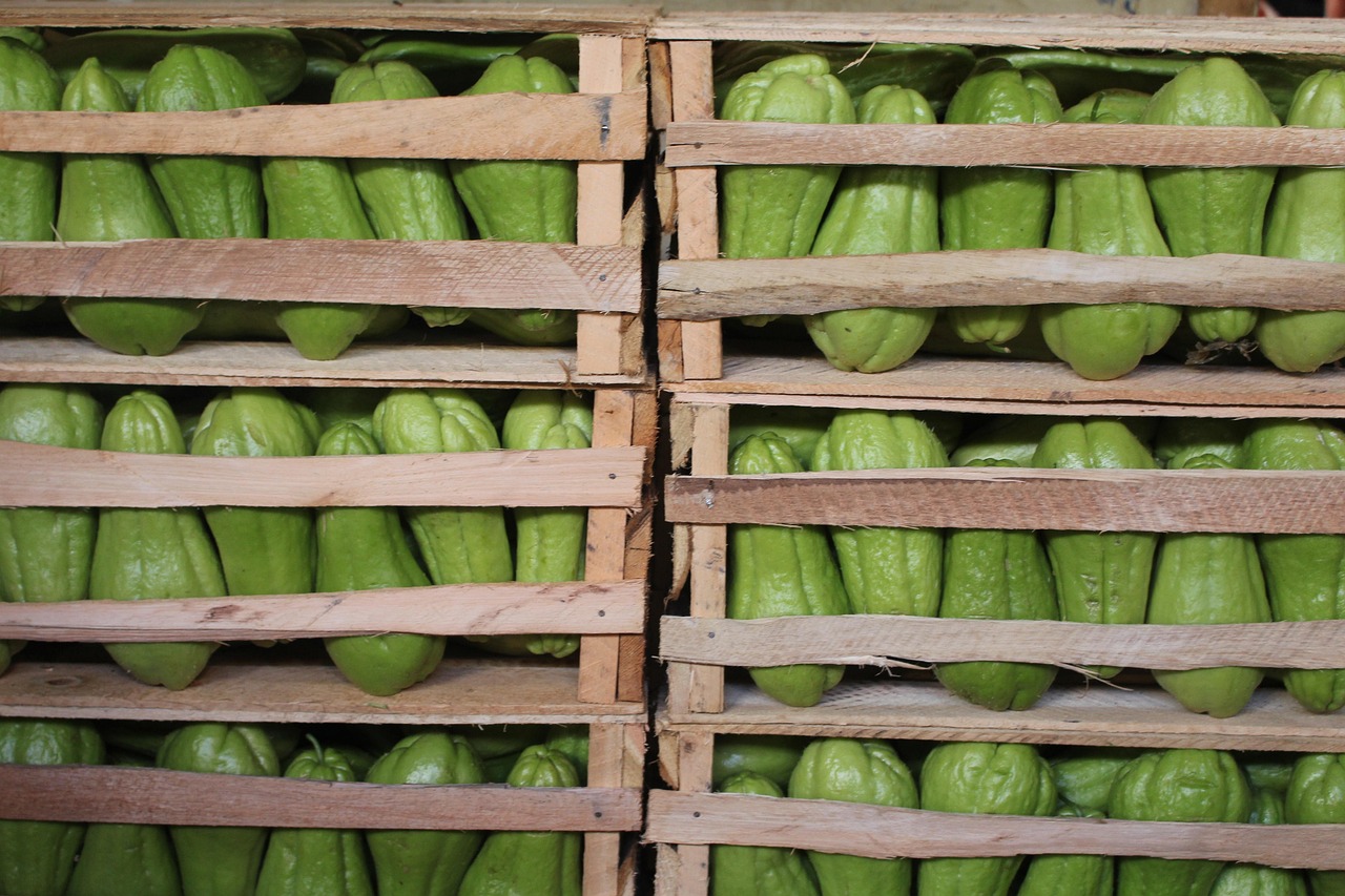 濱康綜合體最新動態(tài)，城市發(fā)展的璀璨明珠閃耀光芒